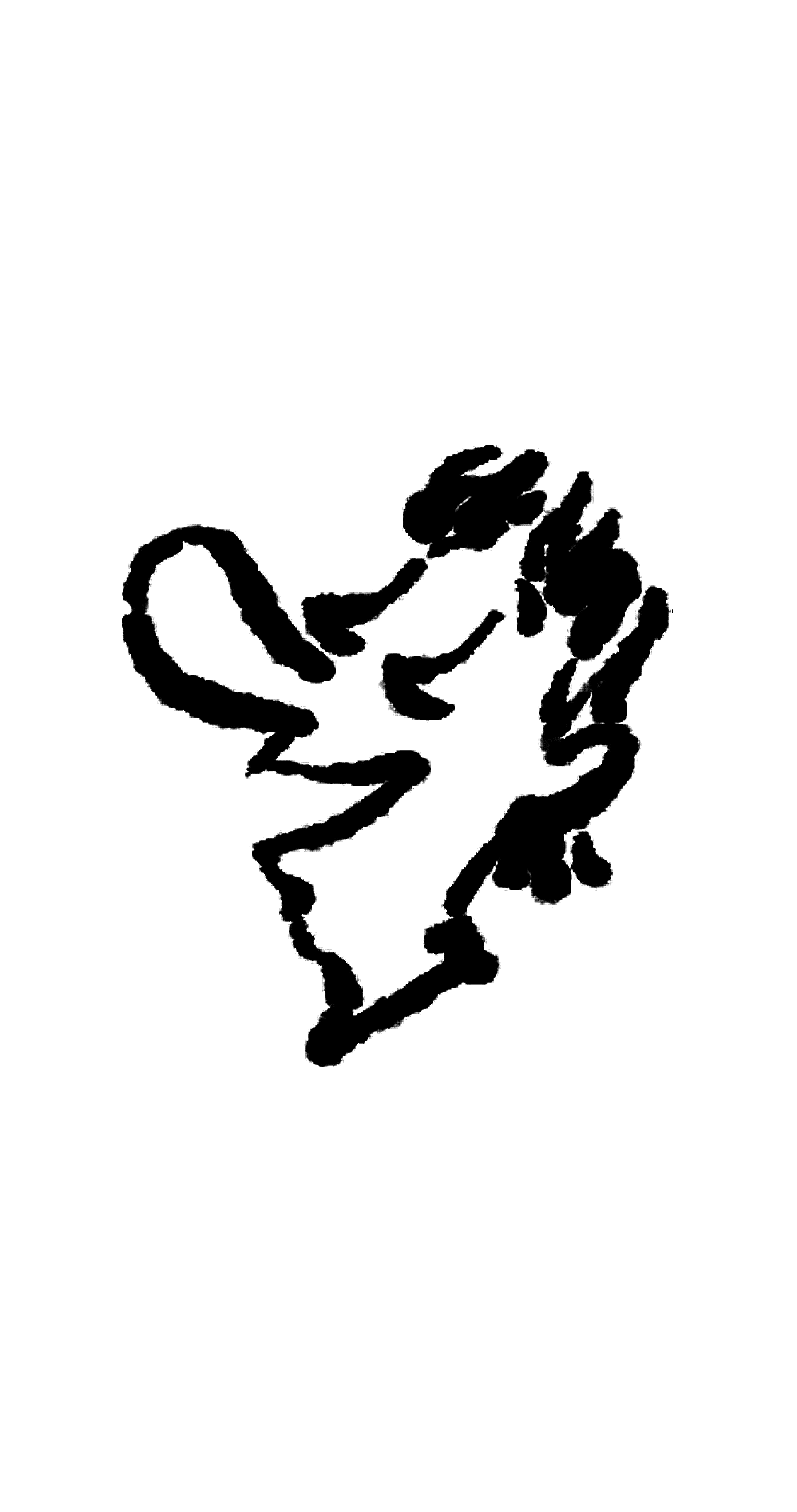 Rari